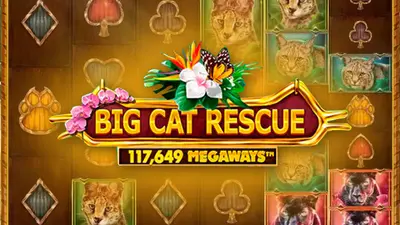 big cat rescue megaways tm
